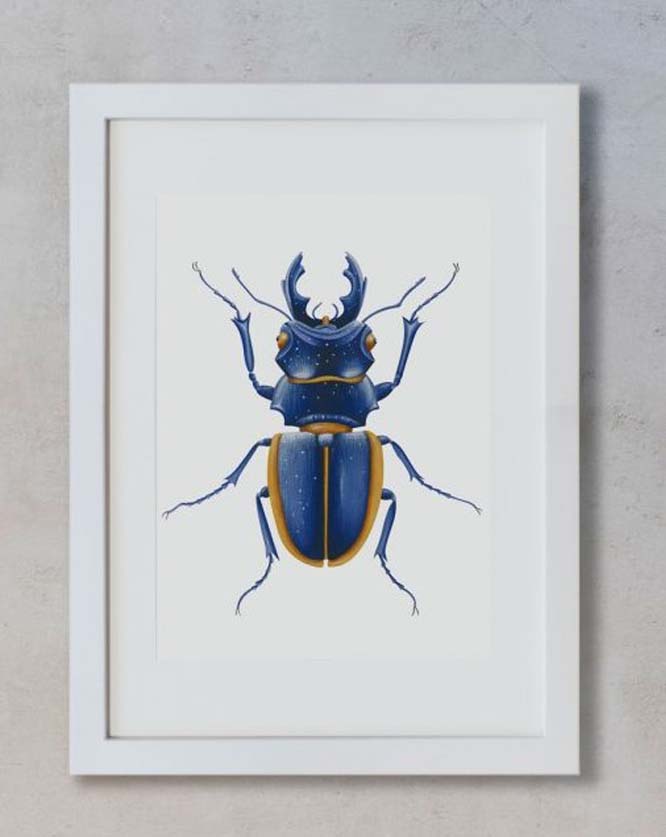 Acuarela botánica – Escarabajo Lucanidae