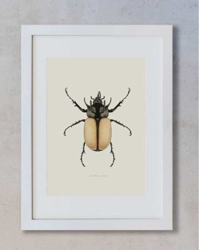 Acuarela botánica – Escarabajo